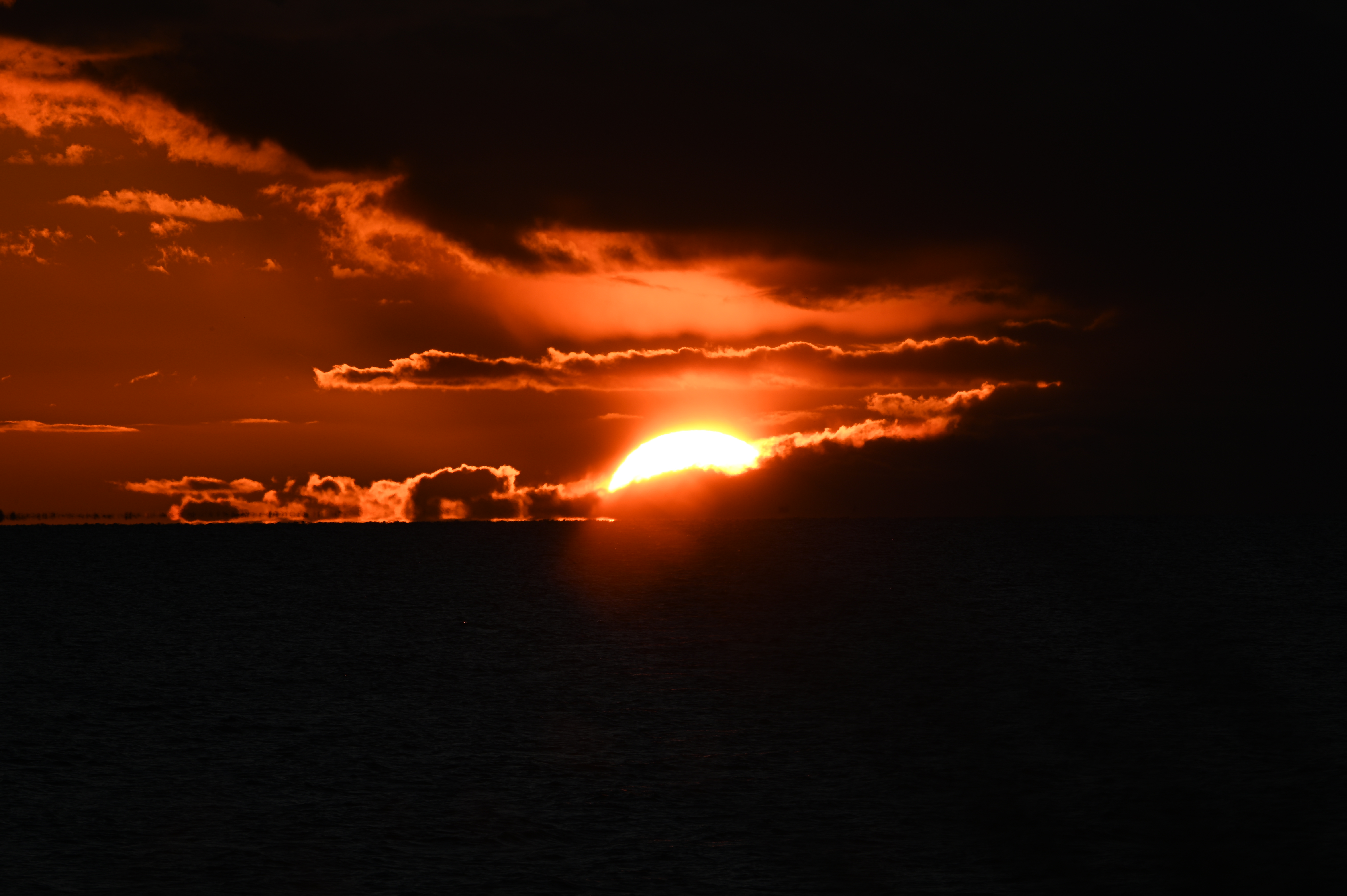 2025/10/18 - walk/DSC_0494.JPG